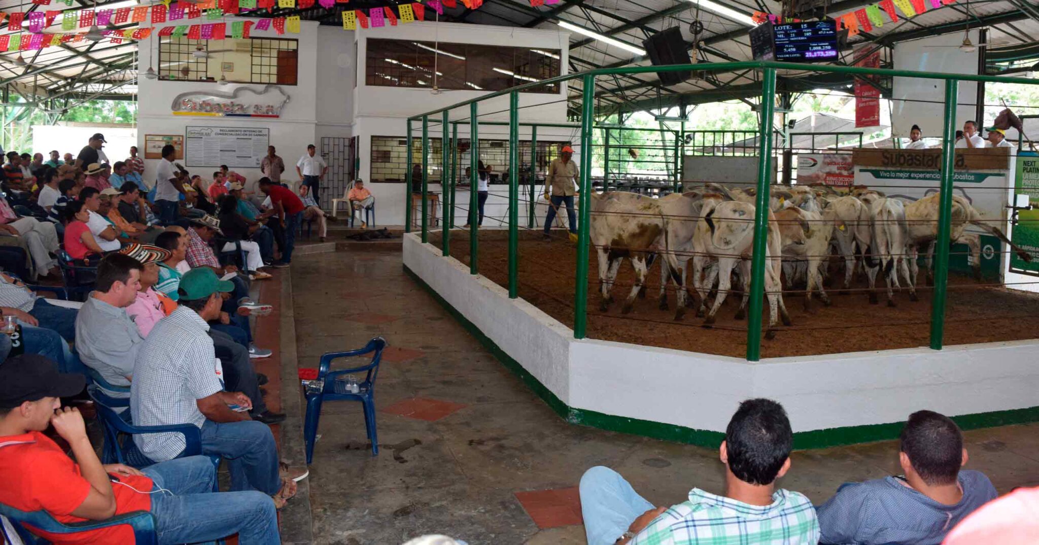 Inicio de subastas comerciales con tribuna presencial y virtual