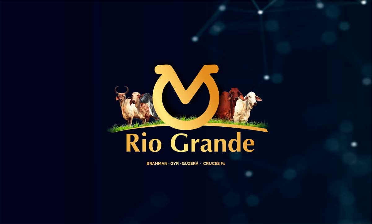 11° Remate Virtual Rio Grande