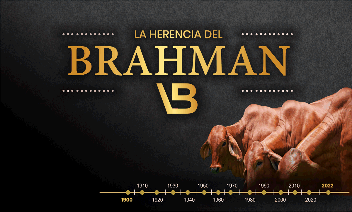 La Herencia del Brahman