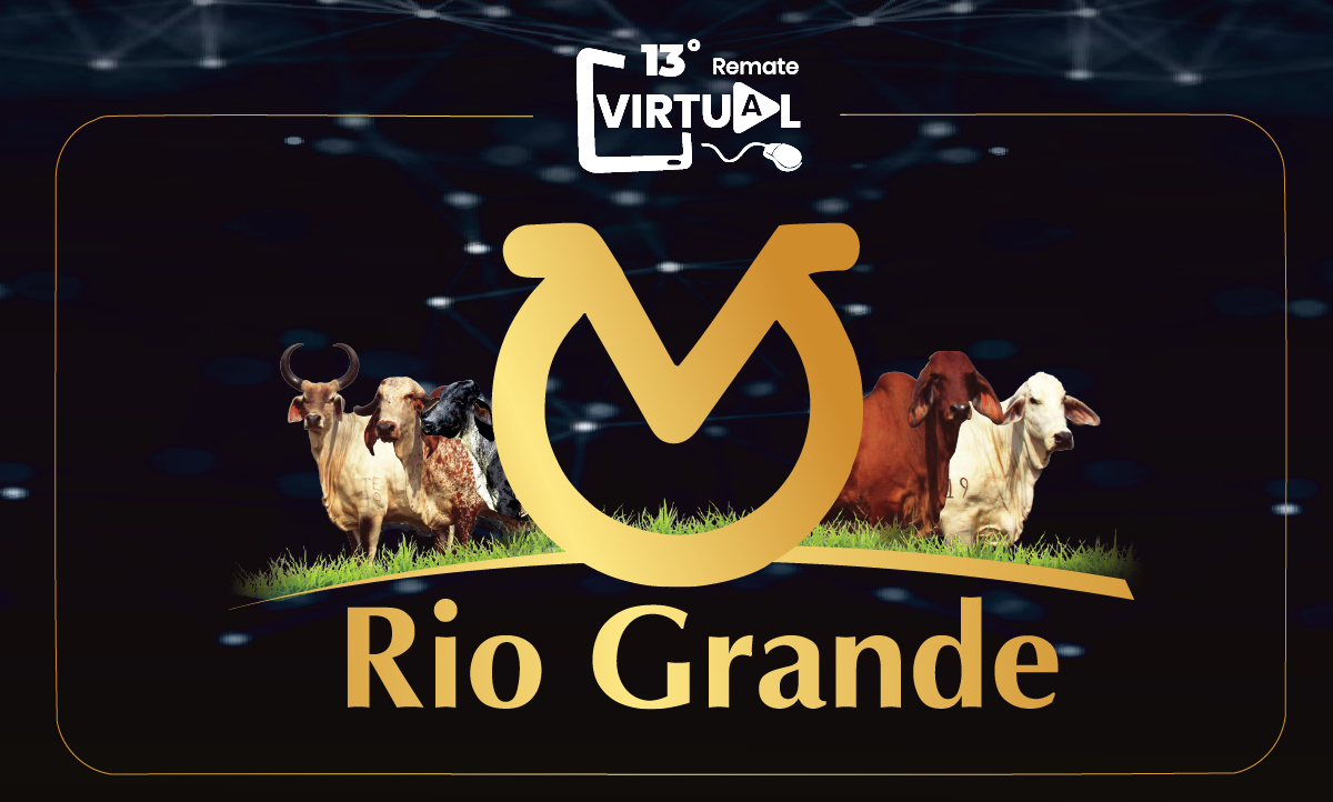 13 Remate Virtual Rio Grande