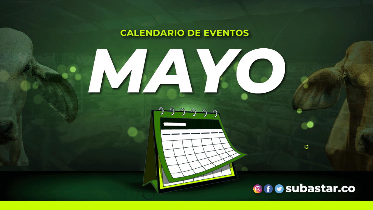 Calendario eventos mayo