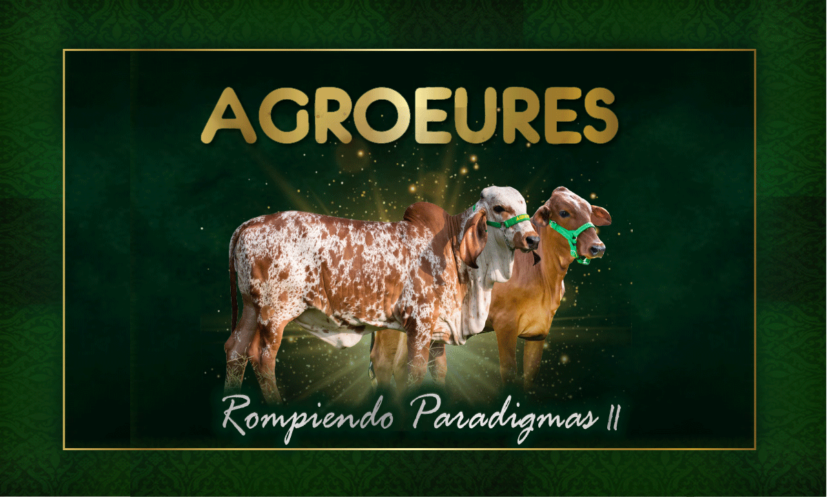 Remate Agroeures II