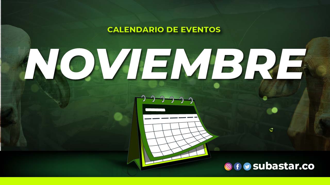 Calendario eventos de octubre