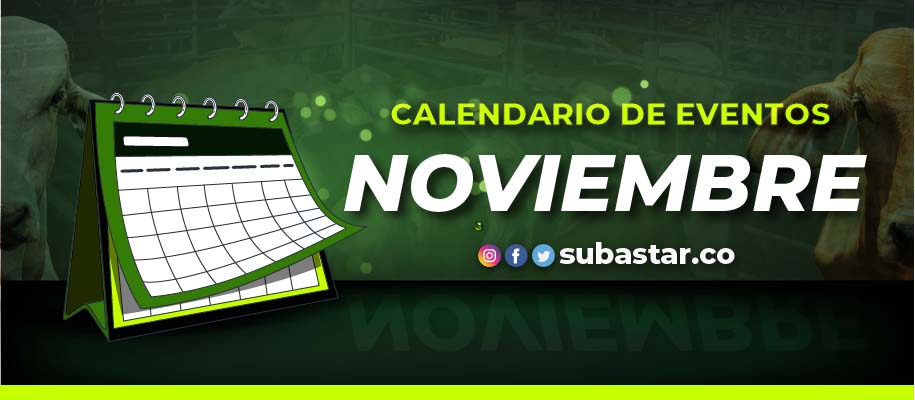 Calendario de Noviembre