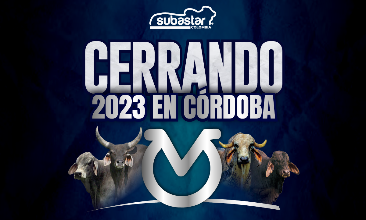 Cerrando 2023 en Córdoba