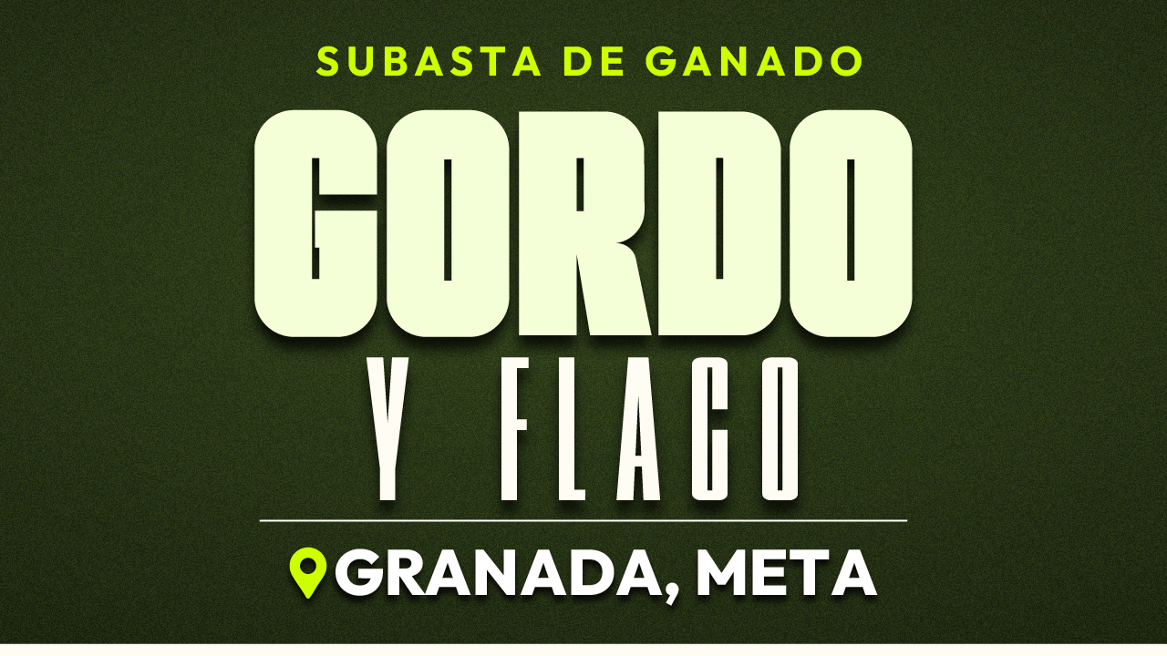 Subasta de Ganado Gordo y Flaco