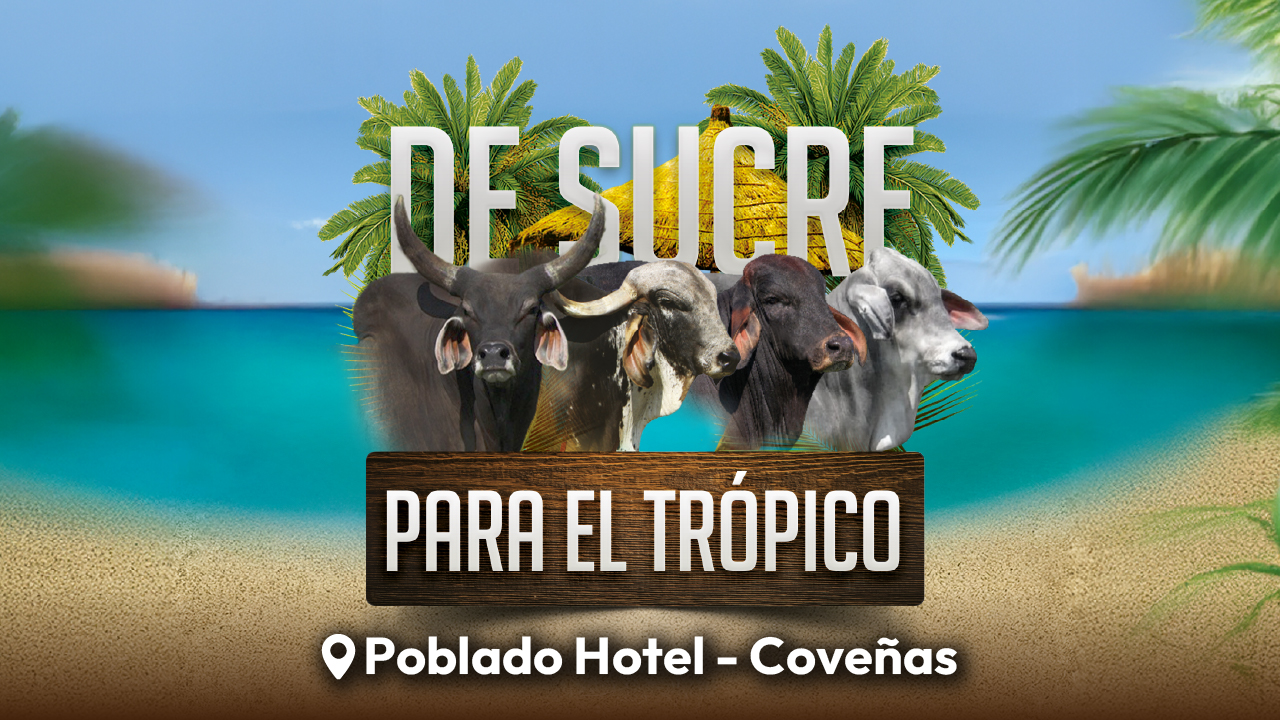 De Sucre para el Trópico