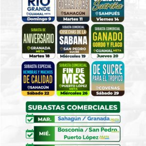 Calendario Noviembre 2025