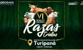 AGROSAVIA ADAPT_VISTA PREVIA